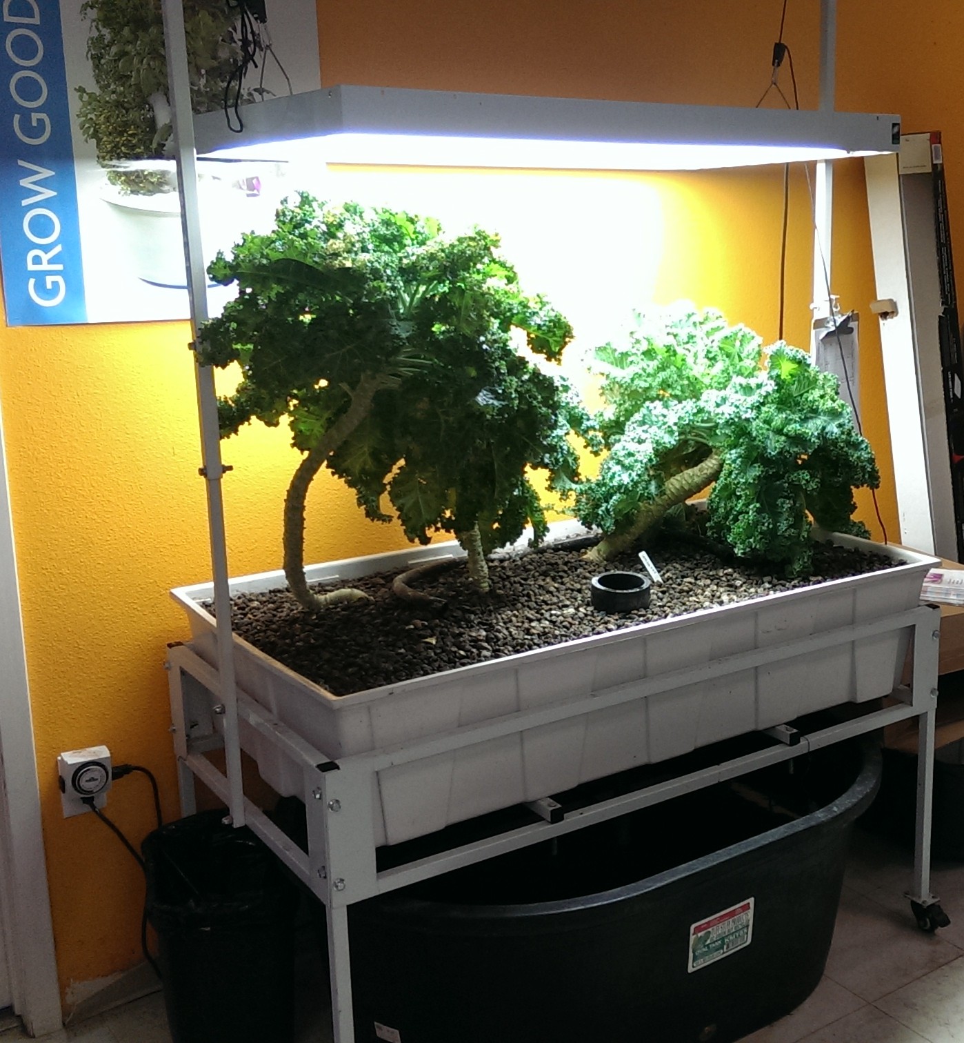 "Indoor Aquaponics" - Brite Ideas Aquaponics, Hydroponics ...