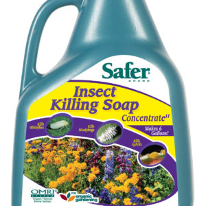 Safer Insect Killing Soap Concentrate, 16 oz