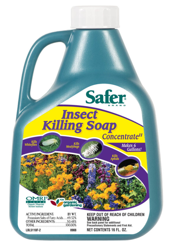 Safer Insect Killing Soap Concentrate, 16 oz