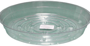 Clear 8" Saucer, pack of 25