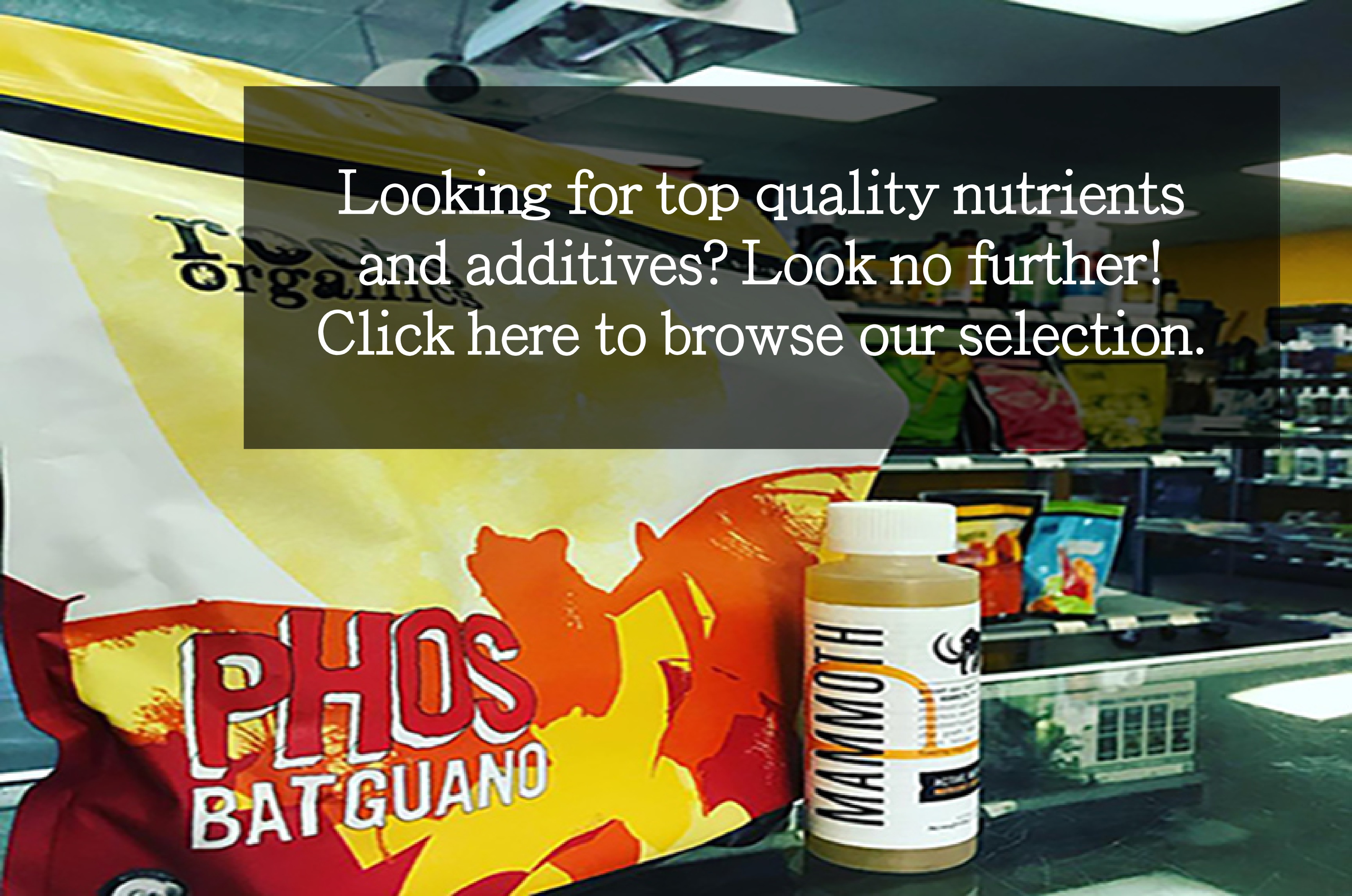 home - brite ideas aquaponics, hydroponics & organics