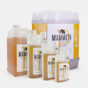 Mammoth P