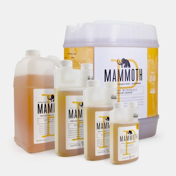Mammoth P